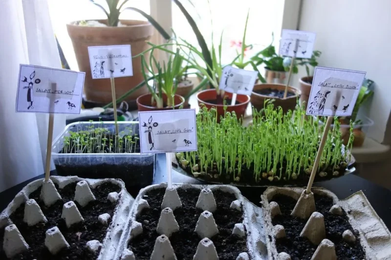 92824235_2845325435503342_1964289437261103104_o